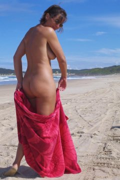 CamelToevans de New South Wales,Australia