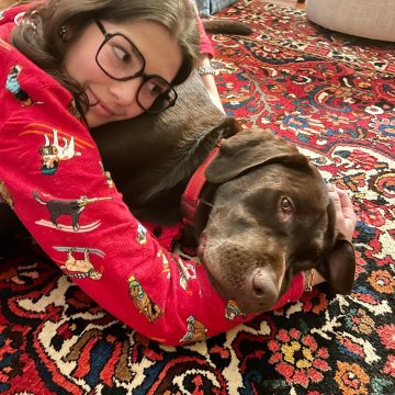 FLyHigh de Queensland,Australia